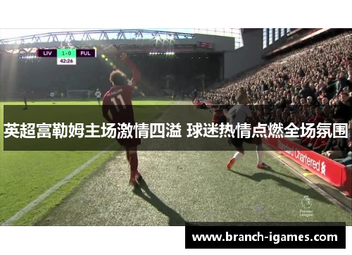 英超富勒姆主场激情四溢 球迷热情点燃全场氛围