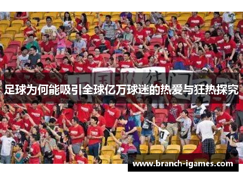 足球为何能吸引全球亿万球迷的热爱与狂热探究 足球为何能吸引全球亿万球迷的热爱与狂热探究