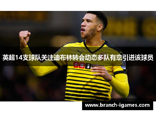 英超14支球队关注迪布林转会动态多队有意引进该球员 英超14支球队关注迪布林转会动态多队有意引进该球员