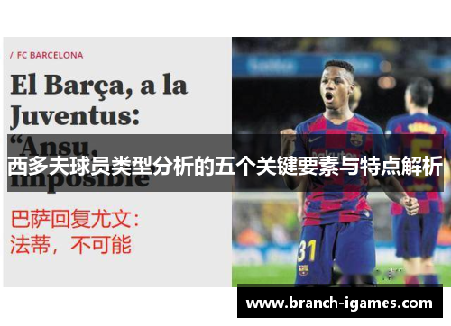 西多夫球员类型分析的五个关键要素与特点解析