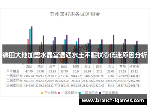 镰田大地加盟水晶宫遭遇水土不服状态低迷原因分析