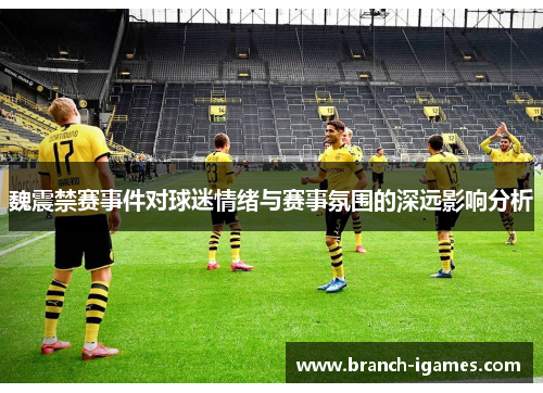 魏震禁赛事件对球迷情绪与赛事氛围的深远影响分析 魏震禁赛事件对球迷情绪与赛事氛围的深远影响分析