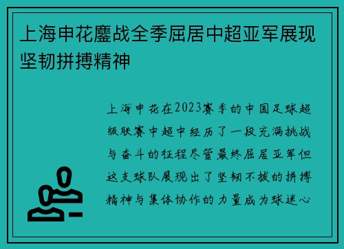 上海申花鏖战全季屈居中超亚军展现坚韧拼搏精神